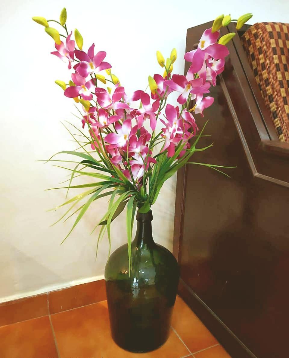 Diana Apartments كاندولِم المظهر الخارجي الصورة